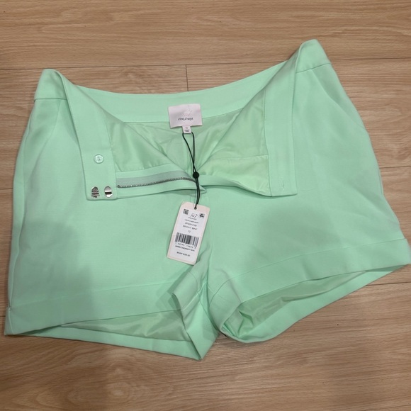 Mint Green Shorts - Picture 1 of 2